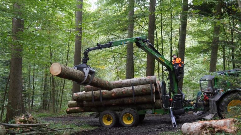 Korporation Pfäffikon – Forstwirtschaft